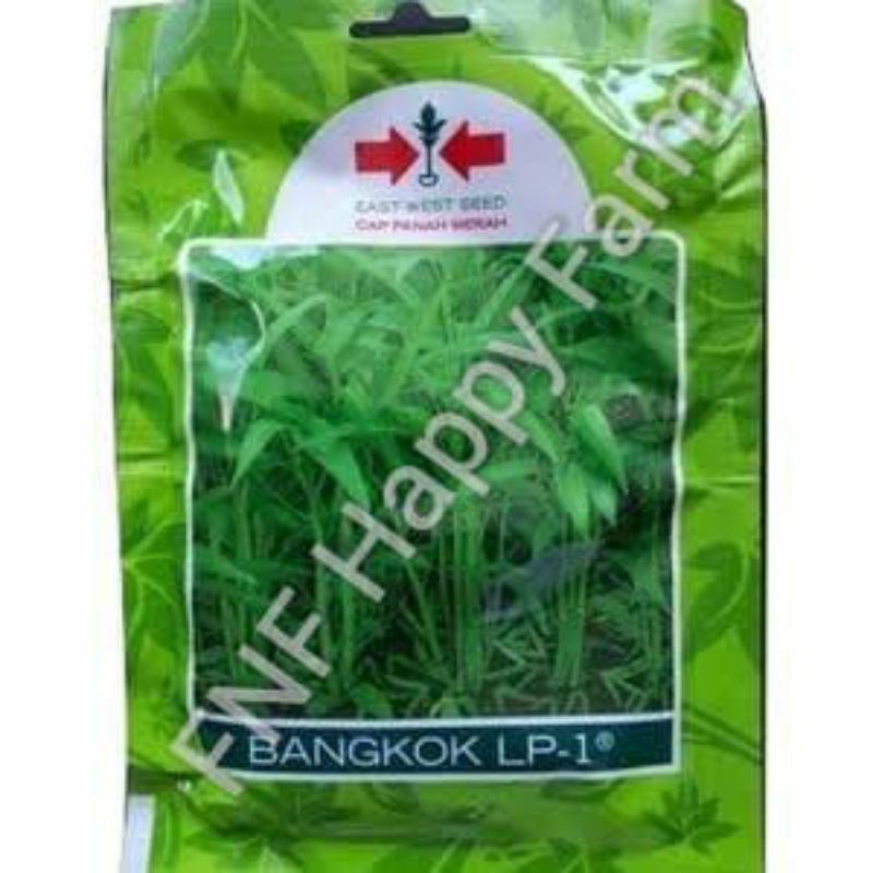 Jual Benih Kangkung Bangkok Sachet 1500 Btr Shopee Indonesia