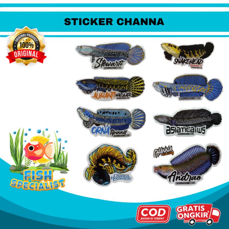 Jual STICKERPACK CHANNAHOMESTAY Snakehead Addict Andrao Pulchra ...