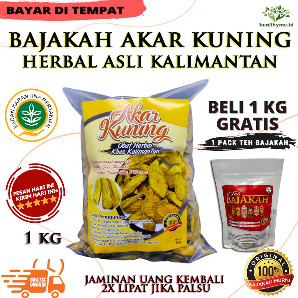 Jual Akar Kuning Asli Kalimantan Akar Bajakah Kuning Kayu Bajakah