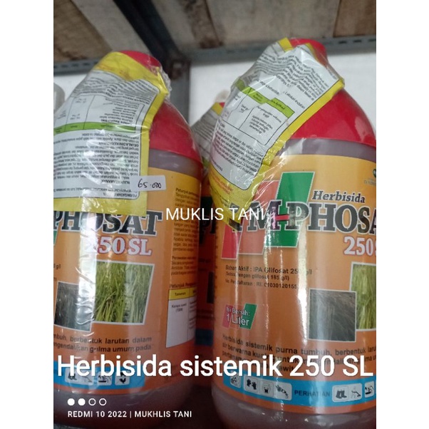 Jual Herbisida Sistemik Tm Phosat 250 Sl Kemasan 1 L Shopee Indonesia