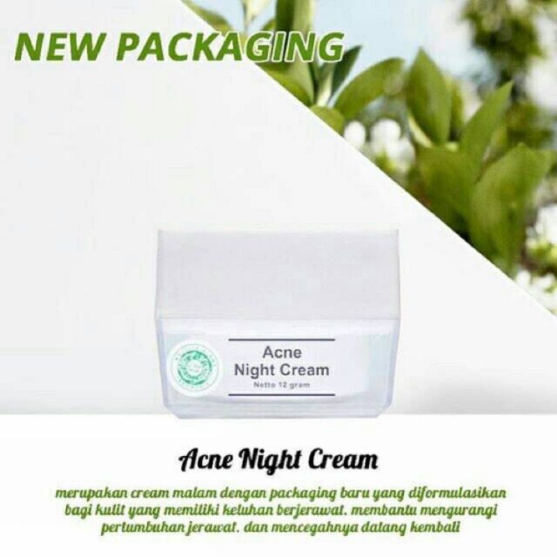 Jual MS GLOW ACNE NIGHT CREAM 12g Shopee Indonesia