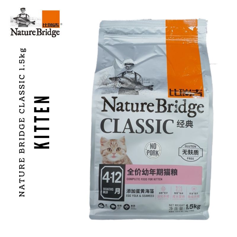 Nature 2025 bridge kitten