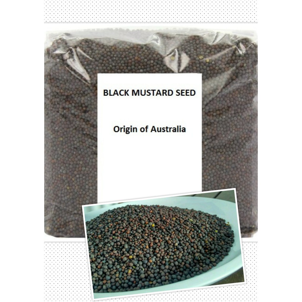 Jual HS Black Mustard Seed / Biji Sawi Shopee Indonesia