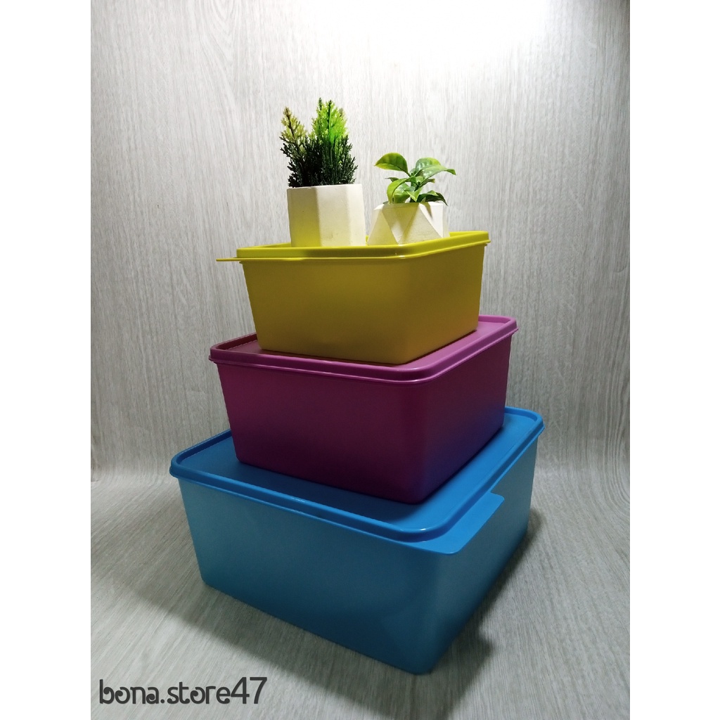 Jual Tupperware Cozy Nest In Cozy Nest L Cozy Nest L