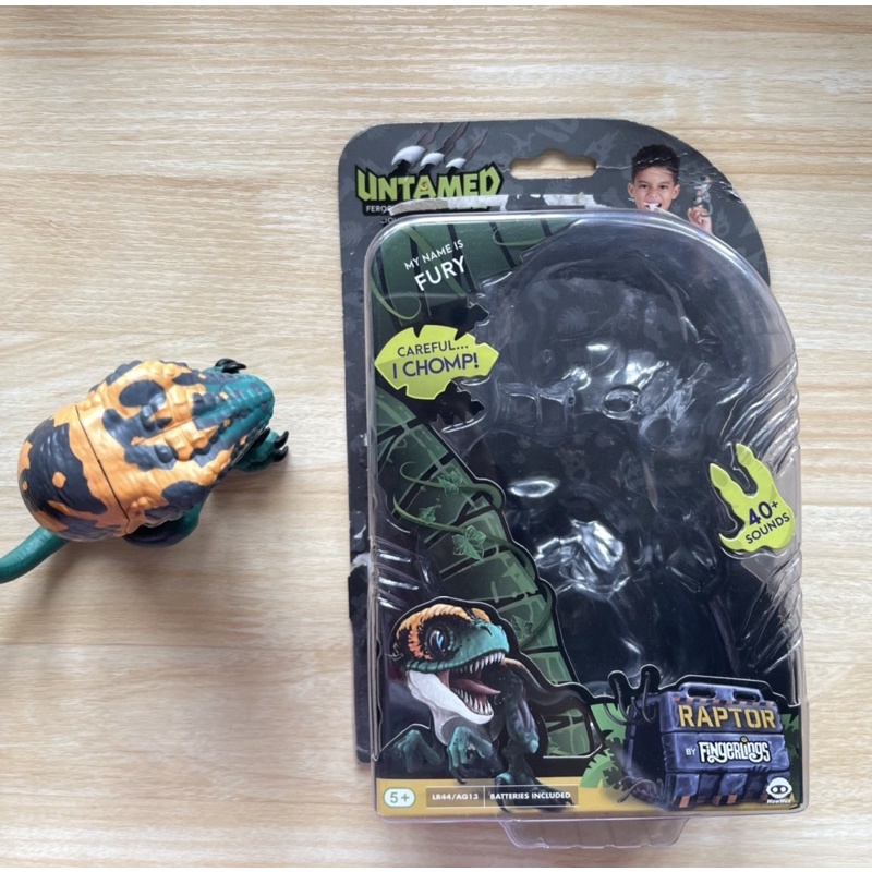 Jual [PL] Fingerling Raptor | Shopee Indonesia