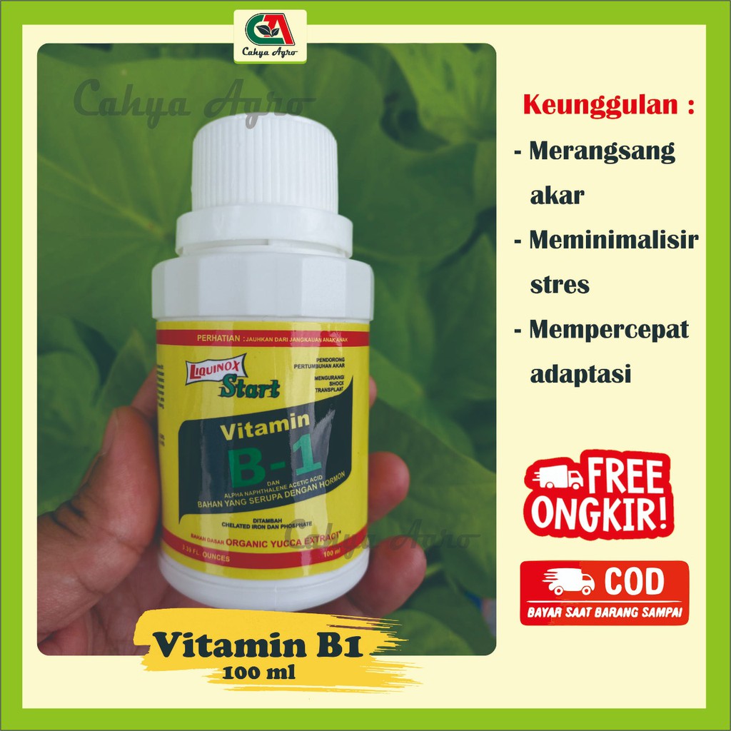 Jual Vitamin B1 Liquinox Start 100 Ml Anti Stres Dan Perangsang Akar ...