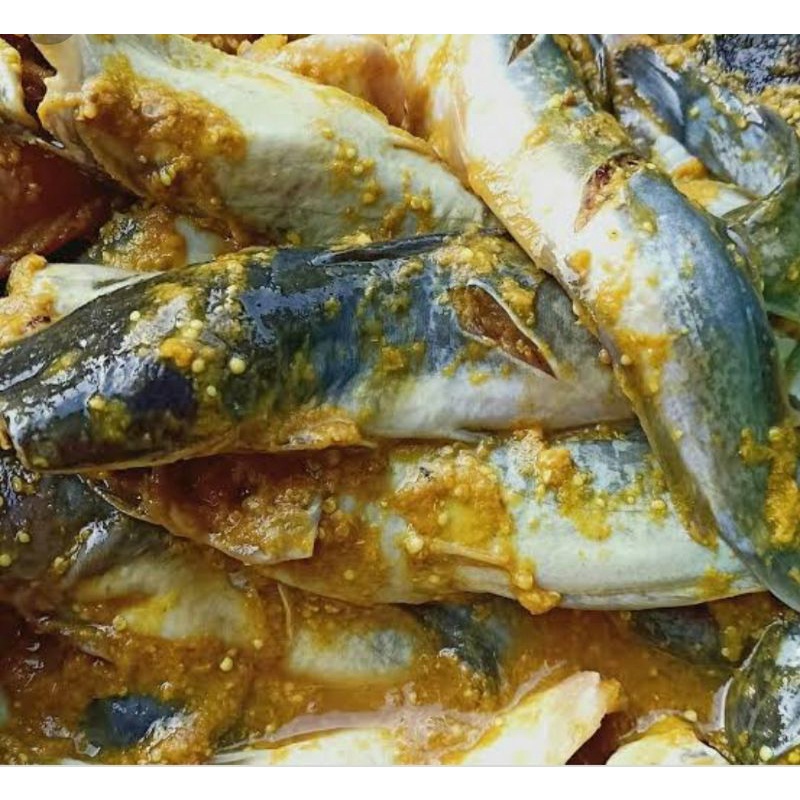 Jual ikan lele bumbu kuning/1kg | Shopee Indonesia