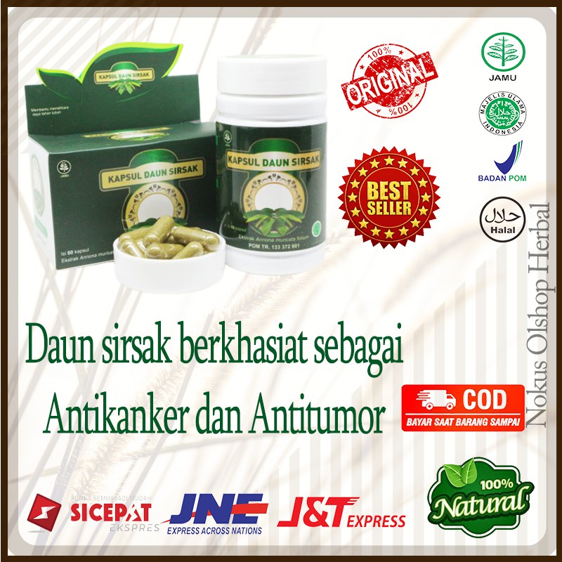 Jual Kapsul Daun Sirsak Herbal Menjaga Daya Tahan Tubuh Obat Herbal Anti Kanker Anti Tumor