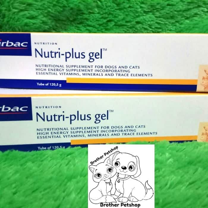 Jual perawatan kucing murah Nutriplus Gel 120gr - Nutri plus Gel ...
