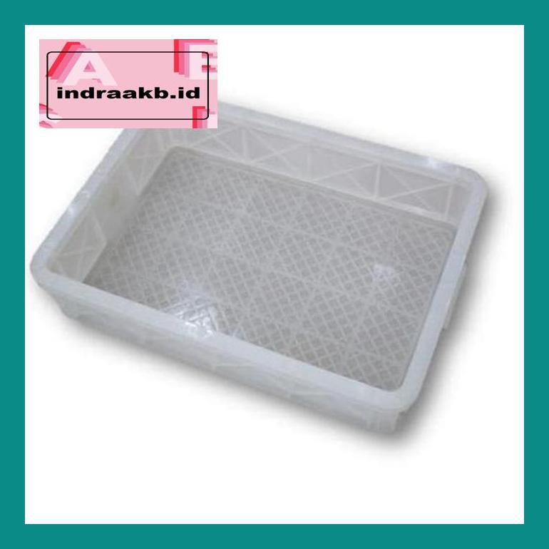 Jual S40Trep Kandang Torto Kura Tortoise Container Kontainer Tahu ...