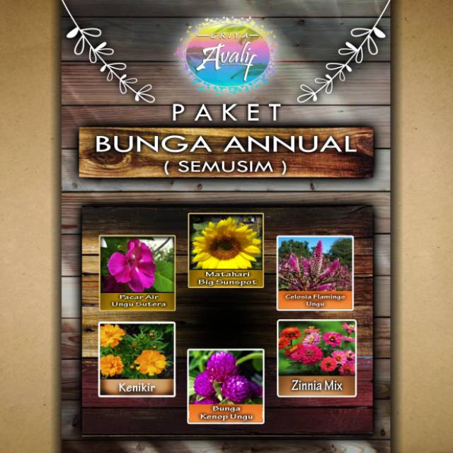 Jual Paket Bunga Annual (semusim) | Shopee Indonesia