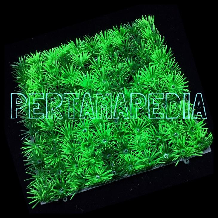 Jual Jual Rumput Artificial Rumput Aquarium Rumput Hias Sintetis Shopee Indonesia