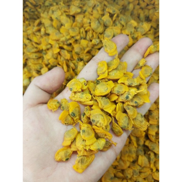 Jual kerang Asin kupah 1kg | Shopee Indonesia