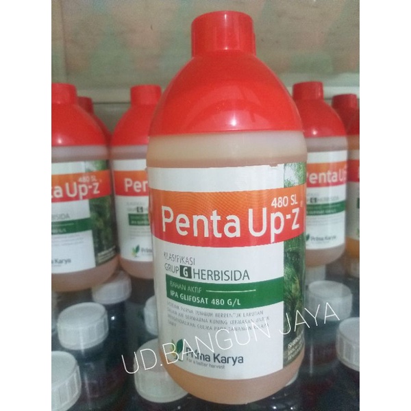 Jual Pembasmi Rumput Hebisida Penta Up 480SL Shopee Indonesia