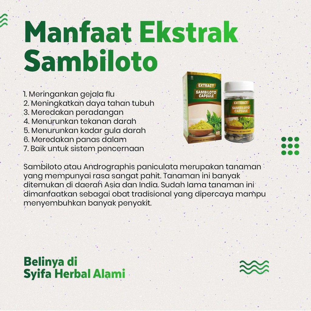 Jual Kapsul Sambiloto Syifa Flu Pilek Amandel Bronkhitis Batuk