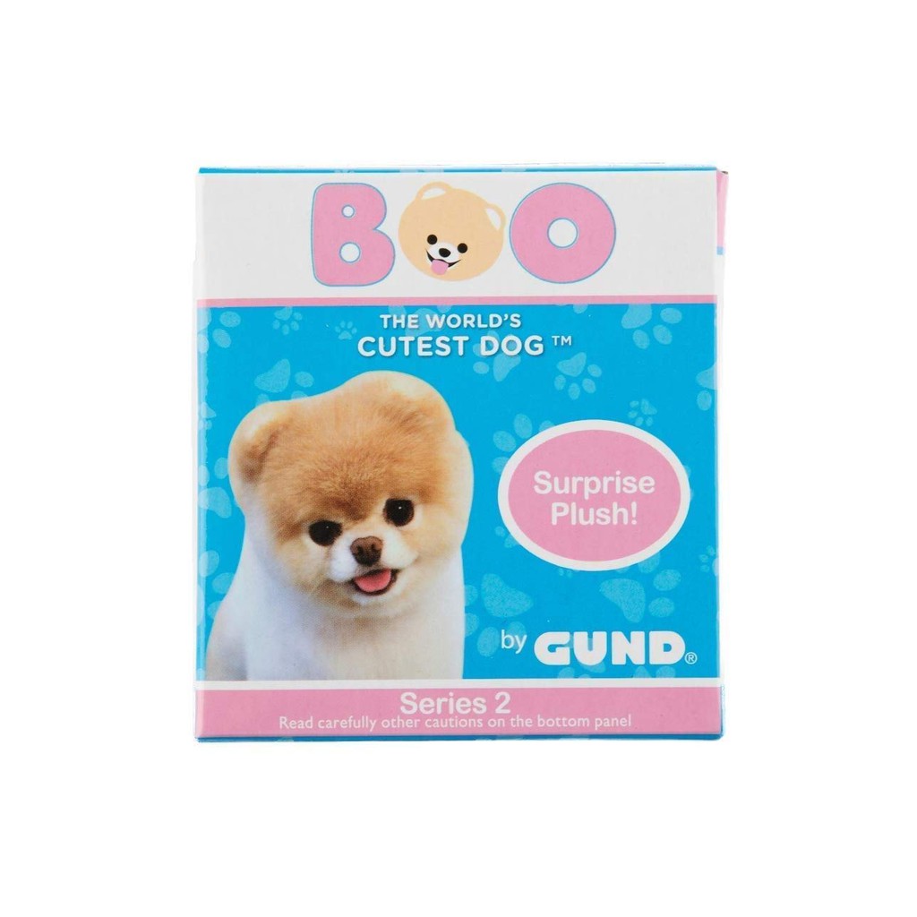 Jual Boo The World's Cutest Dog - Blind Box Series 2 - Satuan | Shopee ...