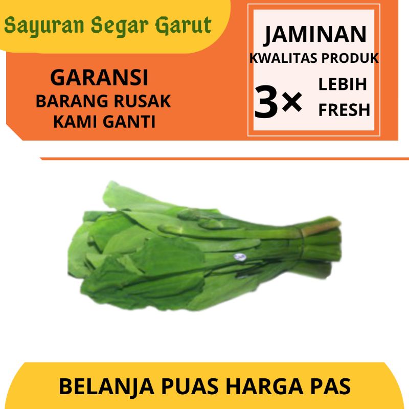 Jual Sayur Genjer Hijau Super Segar Fresh Murah Per 1 Ikat By Sayuran