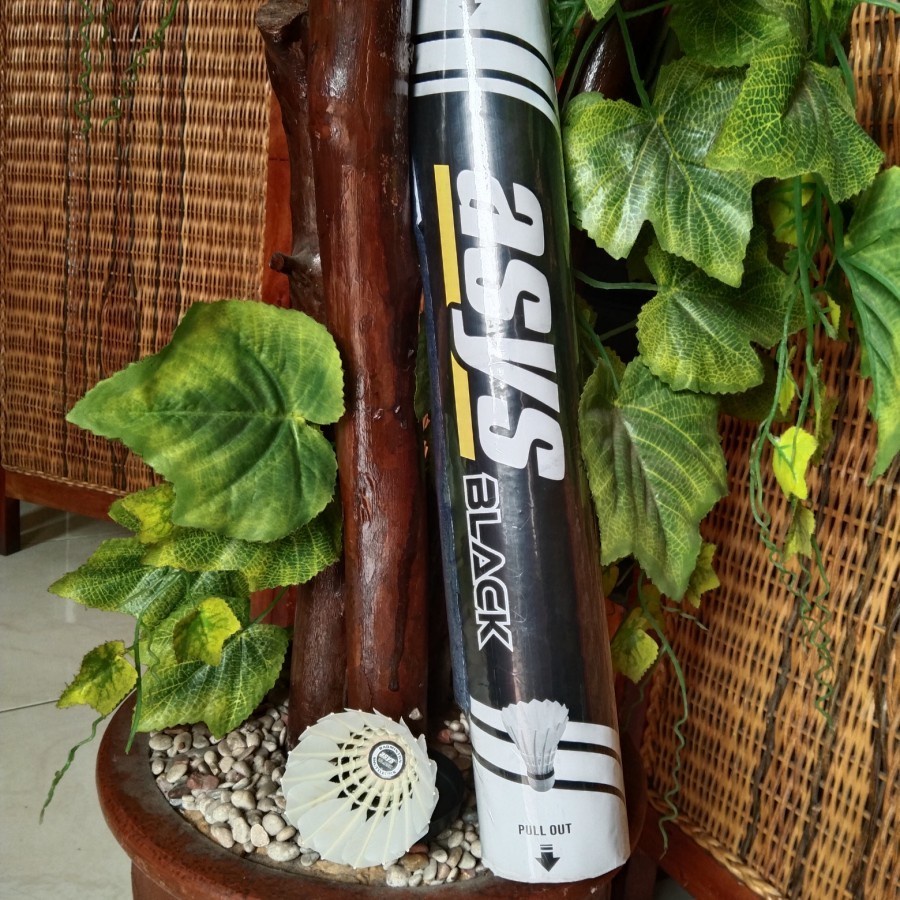 Jual COCK BADMINTON SHUTTLECOCK ASYS BLACK HITAM PREMIUM BULU TEBAL ...