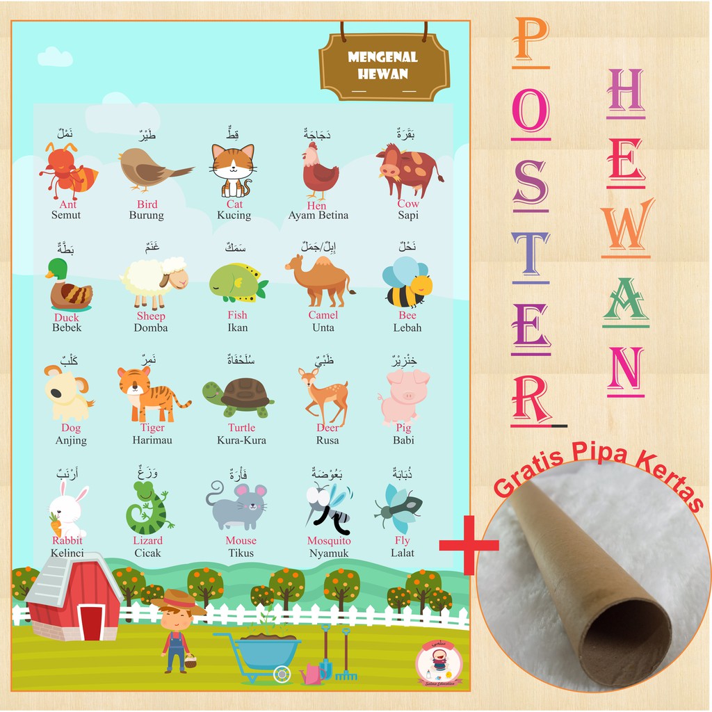 Jual POSTER EDUKASI ANAK BALITA POSBEL MENGENAL HEWAN POSTER PENDIDIKAN ...