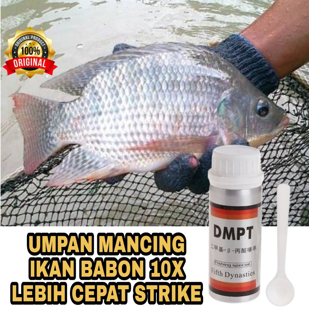 Jual 40 Gram Dmpt Umpan Ikan Mas Siap Pakai Paling Gacor Original Jerman Shopee Indonesia 8742