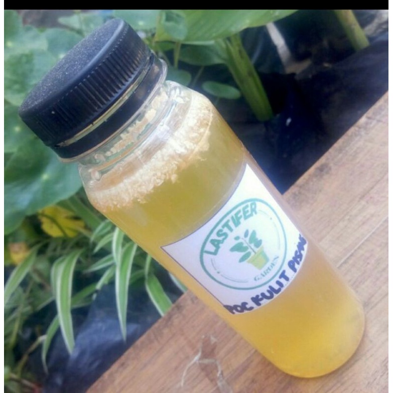 Jual pupuk poc kulit pisang kemasan botol kale 250 ml | Shopee Indonesia