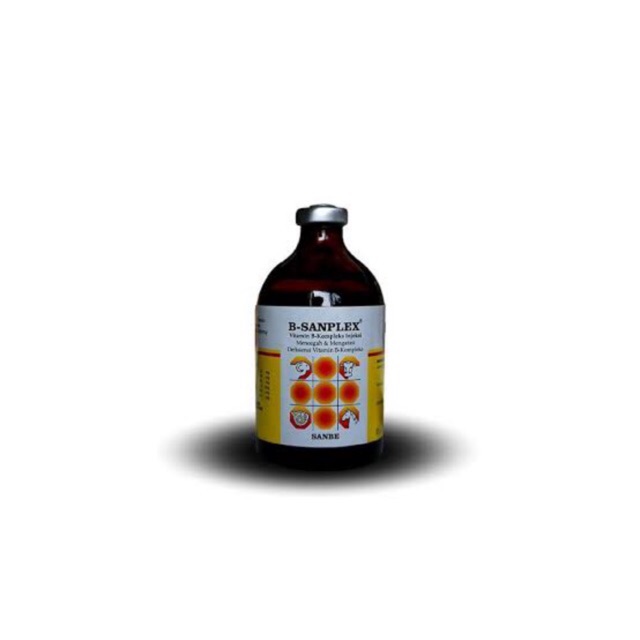 Jual Sanbe Farma / B Sanplex - Injeksi Vit B Kompleks - 100 Ml | Shopee ...