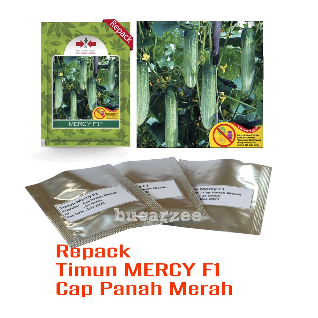 Jual Benih Timun MERCY F1 Isi 25 Benih. Cap Panah Merah Repack | Shopee ...
