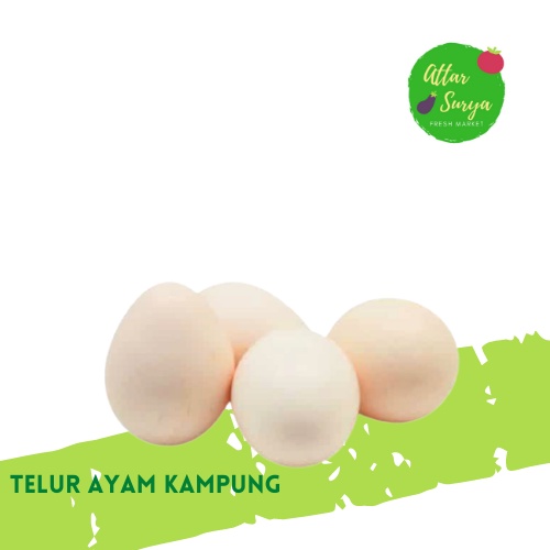 Jual Telur Ayam Kampung Per Butir Shopee Indonesia 2530