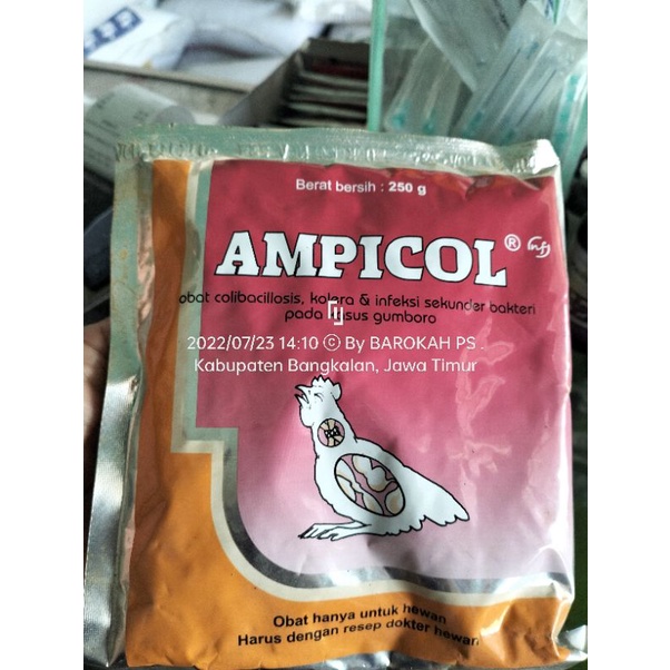 Jual Ampicol 250 g obat dan antibiotik ayam | Shopee Indonesia