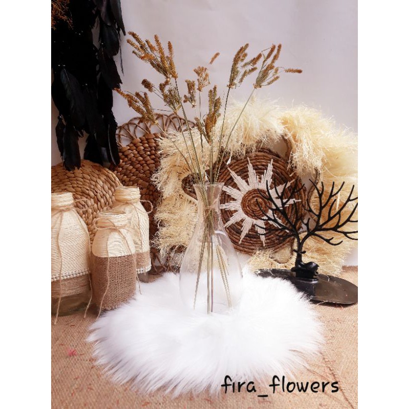 Jual Bunga kering cyperus , dried flowers cyperus | Shopee Indonesia