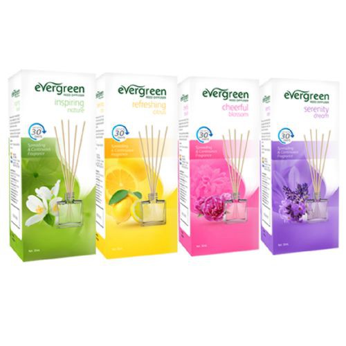 Jual Evergreen Reed Diffuser 30ml Set / Refill (Pengharum Ruangan ...