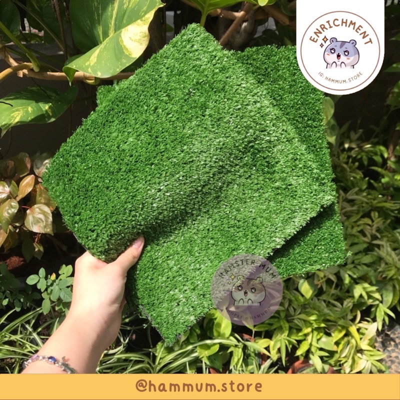 Jual Rumput Alas Kandang Hamster Forest Moss Imitation Artificial