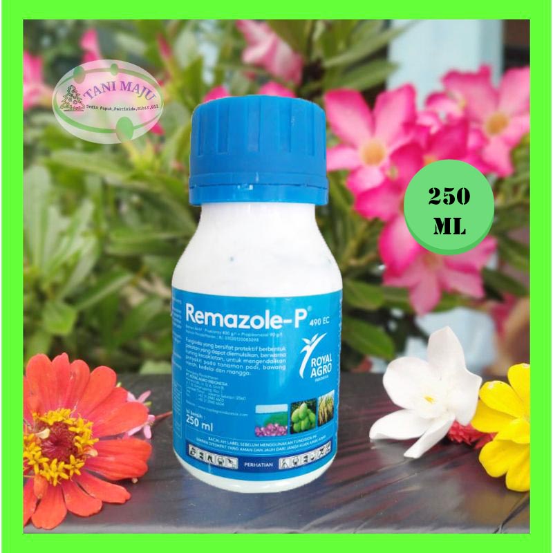 Jual REMAZOLE-P / REMASOL 490EC 250ML FUNGISIDA PROTEKTIF KEMASAN ...