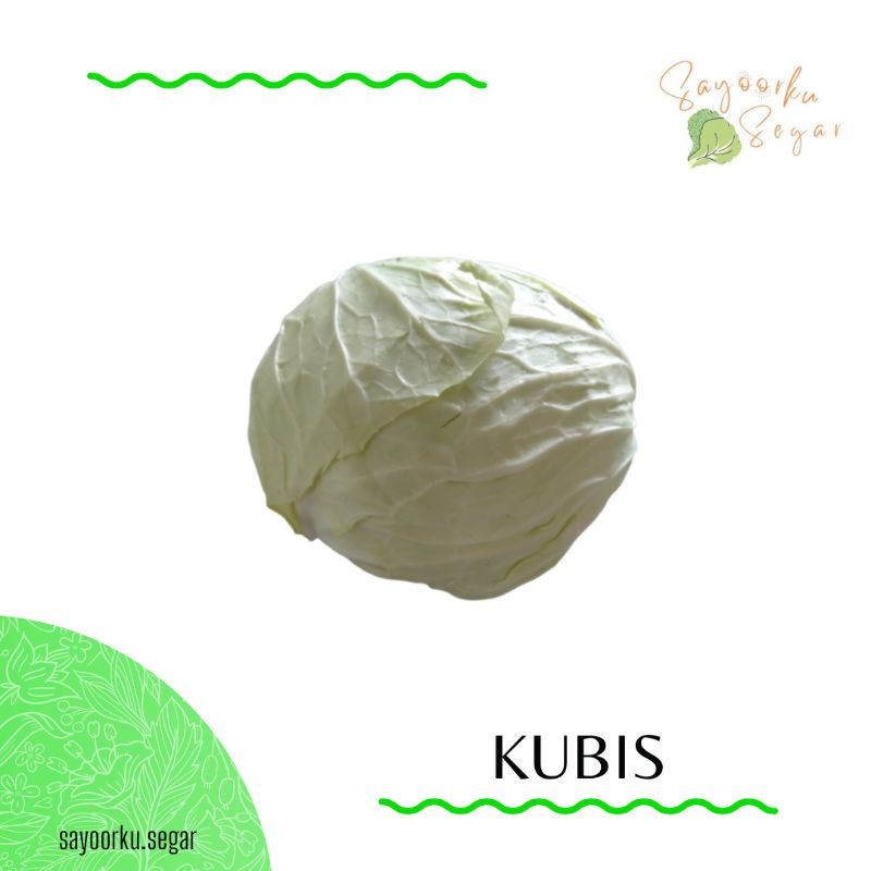 Jual KIRIM BESOK Kubis / Kobis / Kol putih | Shopee Indonesia