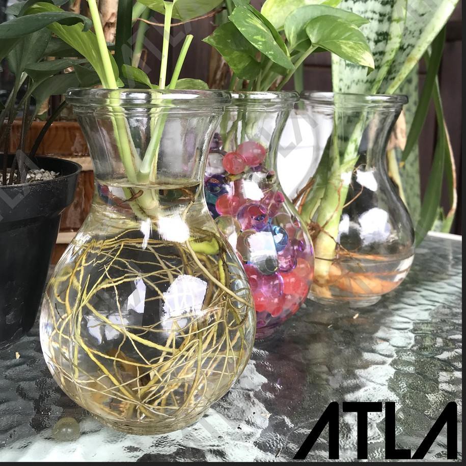 Jual Flash Sale Vas Bunga Kaca Bulat Montok Terrarium Pot Bening Hias