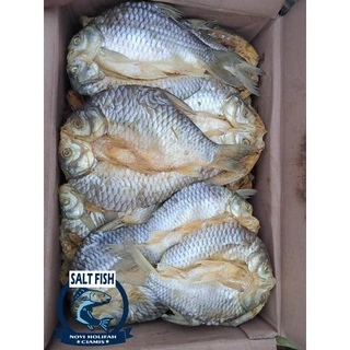 Jual Ikan Tawes Terlengkap & Harga Terbaru Oktober 2024 | Shopee Indonesia