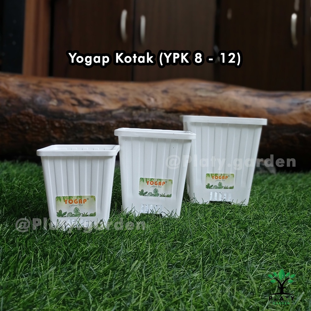 Jual Pot Bunga Tinggi Yogap Kotak YPK 8 12 Shopee Indonesia