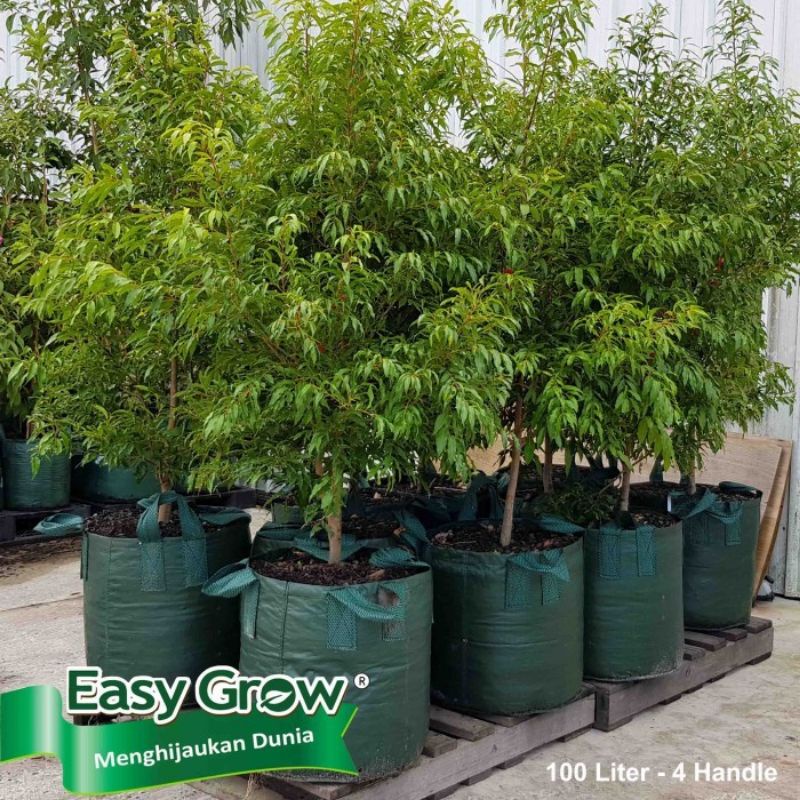 Jual PLANTER BAG 100 LITER EASY GROW / POT TANAMAN MUDAH DI PINDAH ...