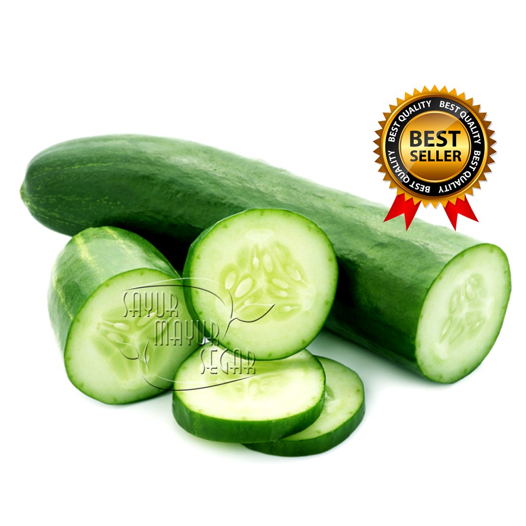 Jual KIRIM INSTAN TIMUN LOKAL / KETIMUN SEGAR FRESH | Shopee Indonesia