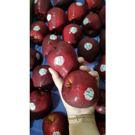 Jual APEL MERAH SUPER MANIS PER 1 KG | Shopee Indonesia