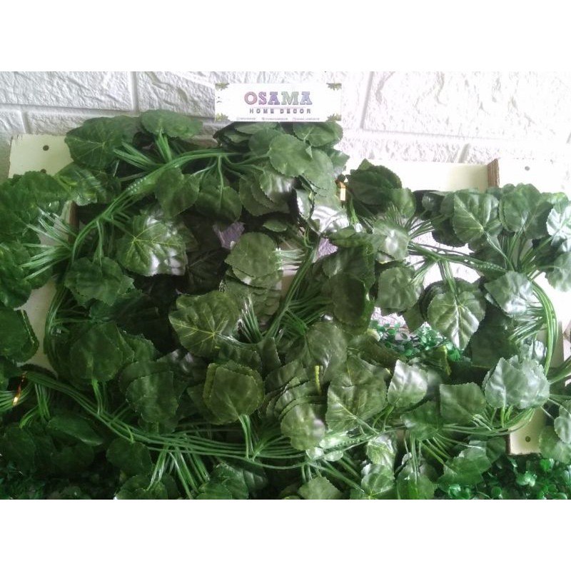 Jual daun rambat anggur 2 meter | Shopee Indonesia