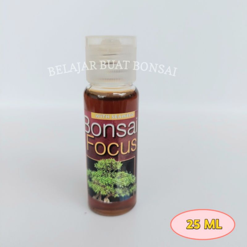 Olio Di Neem Garten Lux Bio Vital Spray Per Foglie Di Piante Di Bonsai Da 300 Ml. Con 16 Oligoelementi Per La Cura Dei Bonsai Spruzzare L'altroestre Pronto All'uso Concime Per Bonsai - Foto 3