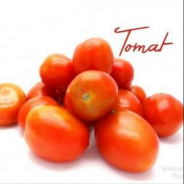 Jual Buah Tomat Sayur Segar Shopee Indonesia