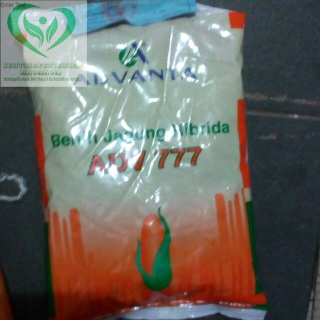 Jual benih jagung hibrida ADV 777 RUBY 1kg dari ADVANTA SEED | Shopee ...