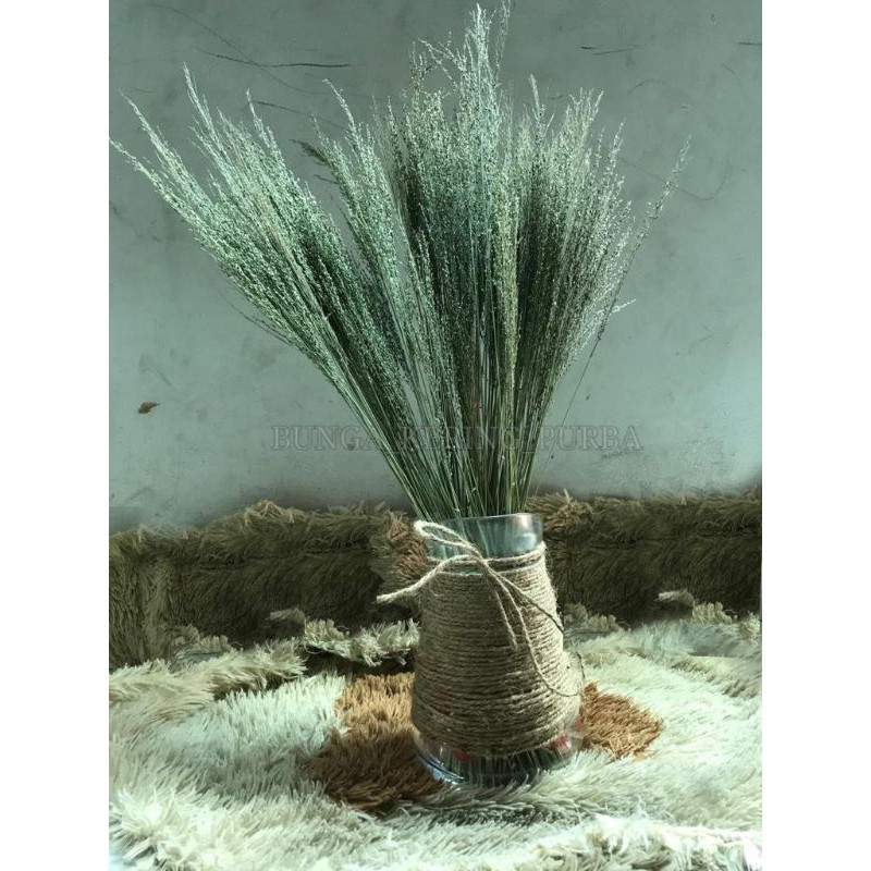 Jual pampas lokal / pampas rumput / bunga rumput kering / bunga kering ...