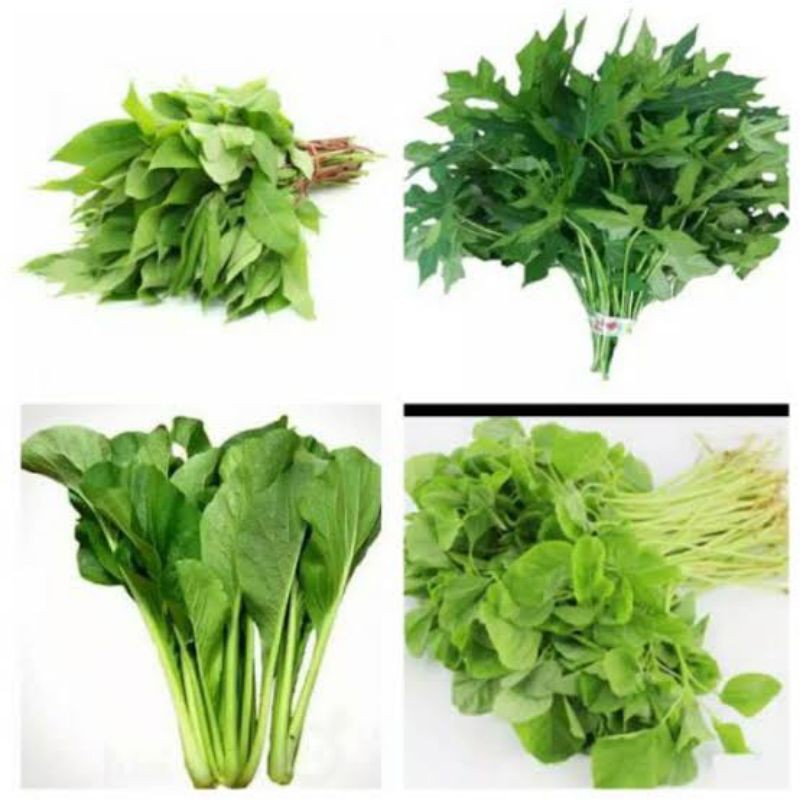 Jual Sayur Bayam Kangkung Sawi Hijau Fresh 1 Ikat Shopee Indonesia