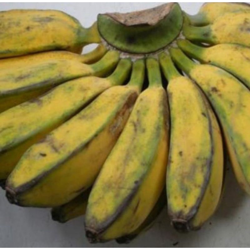 Jual Pisang Kepok Terlengkap & Harga Terbaru Agustus 2026 | Shopee ...