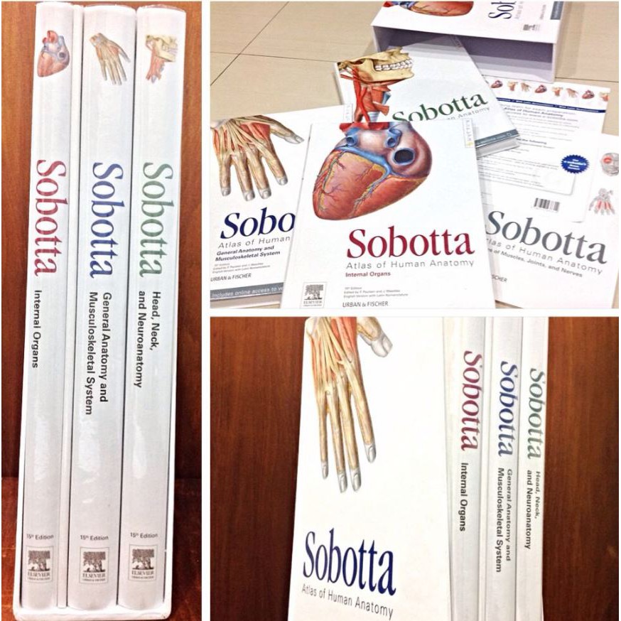 Jual Buku Sobotta Atlas Of Human Anatomy Edisi 16 (Volume 1-3) ORIGINAL ...