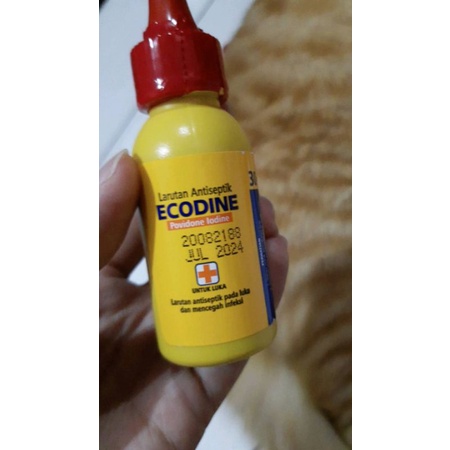 Jual Povidone Iodine Ecodine 30 ml | Shopee Indonesia