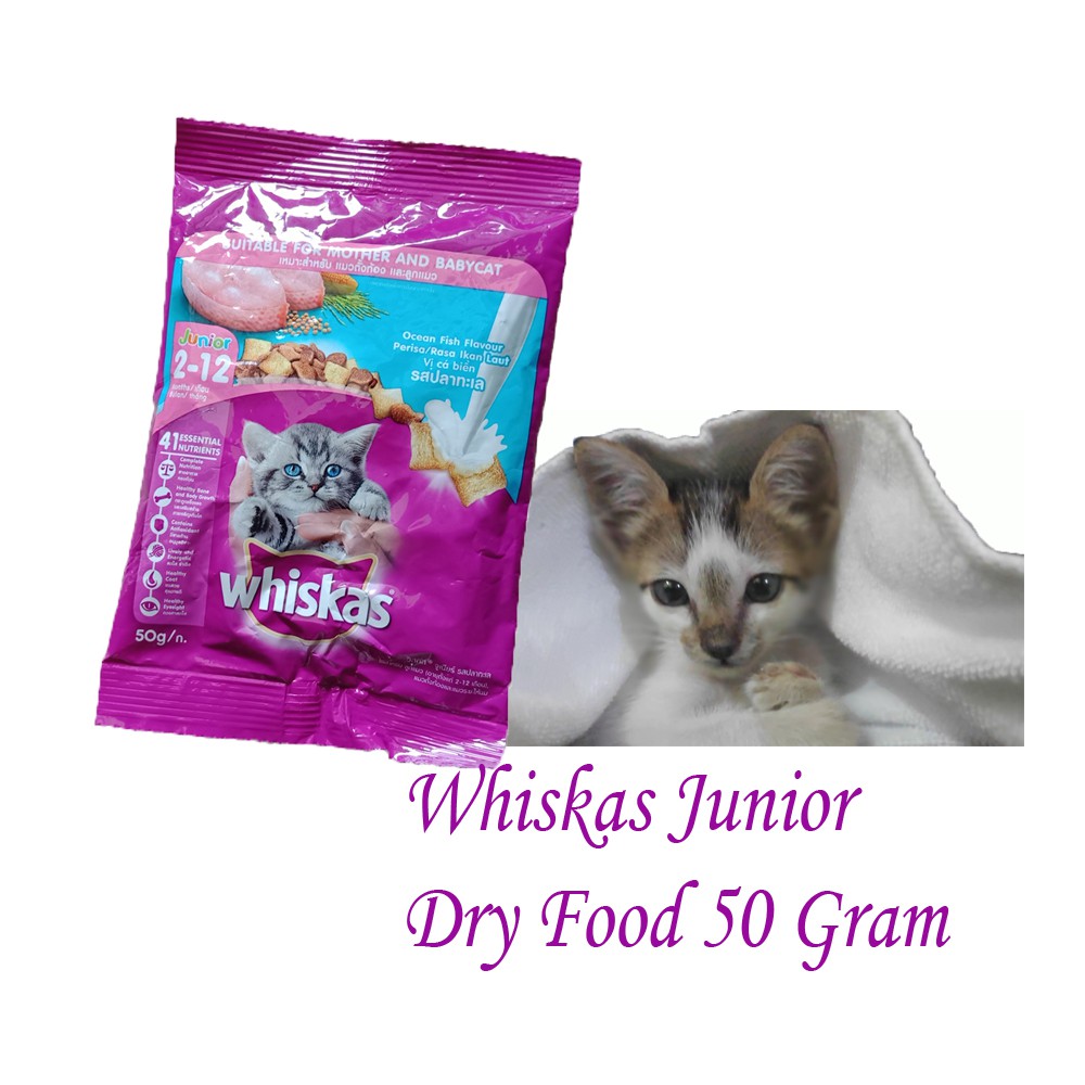 Jual Whiskas Junior Dry Food Ocean Fish Flavour With Milk 50 Gram Shopee Indonesia